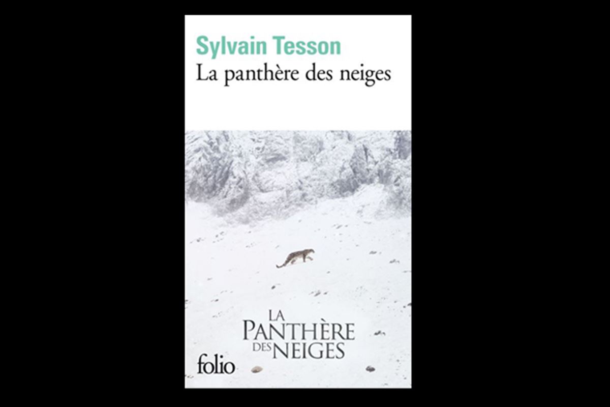 Sylvain Tesson, lauréat du prix Renaudot 2019