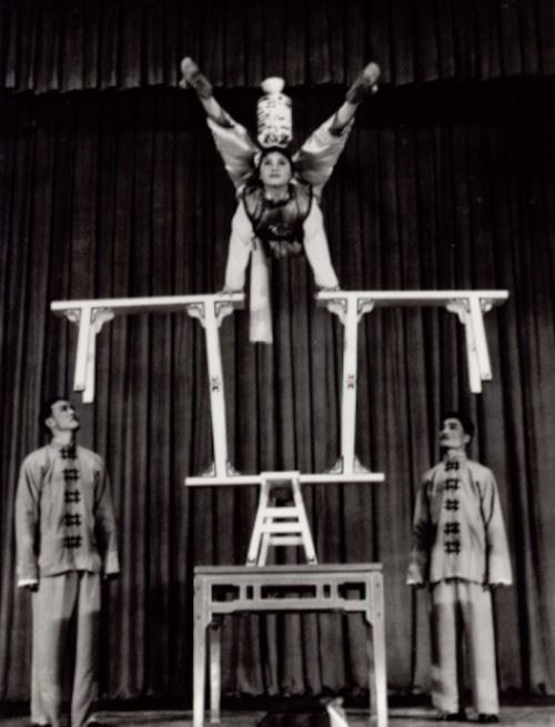 Troupe Acrobatique de Wuhan Chaillot