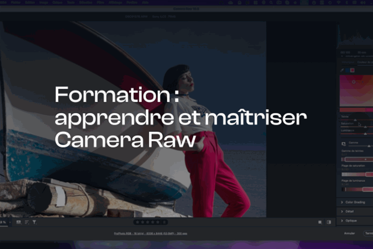 Maîtriser Camera Raw : la formation en vidéo