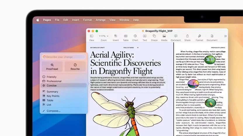 MacBook Air écran
