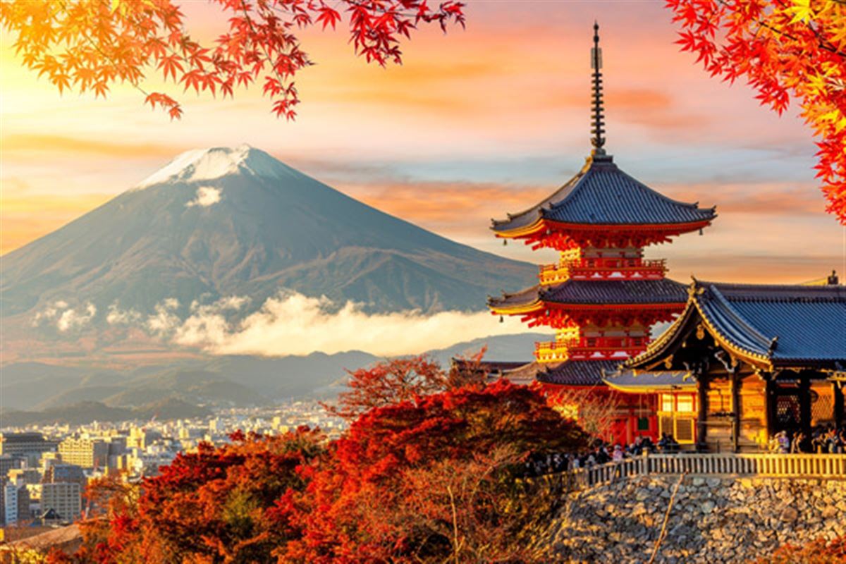 Le top des romans japonais : un voyage littéraire au cœur du Japon éternel