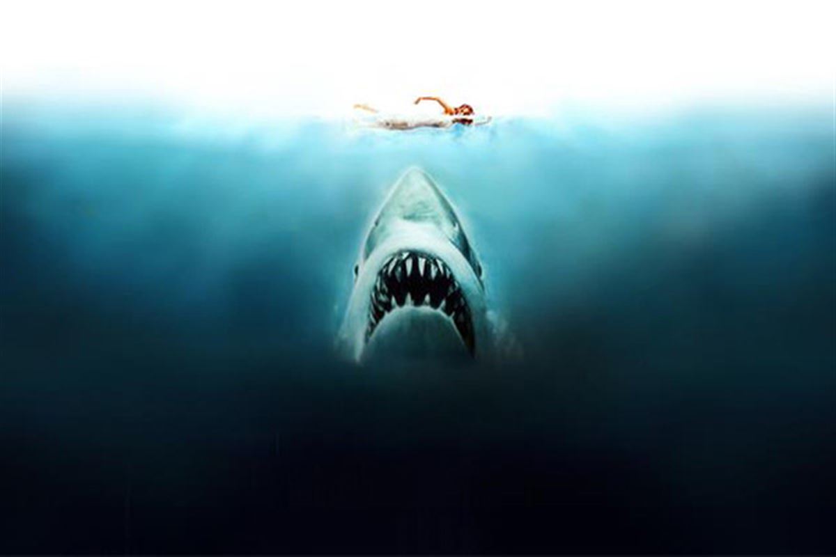 Les Dents de la mer : pourquoi le film d'horreur de Spielberg reste indétrônable