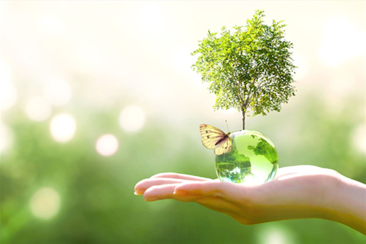Écologie, zéro déchet, protection de la planète… Une sélection 100% verte