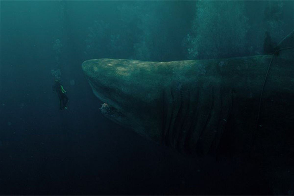 Les meilleurs films de requins de tous les temps
