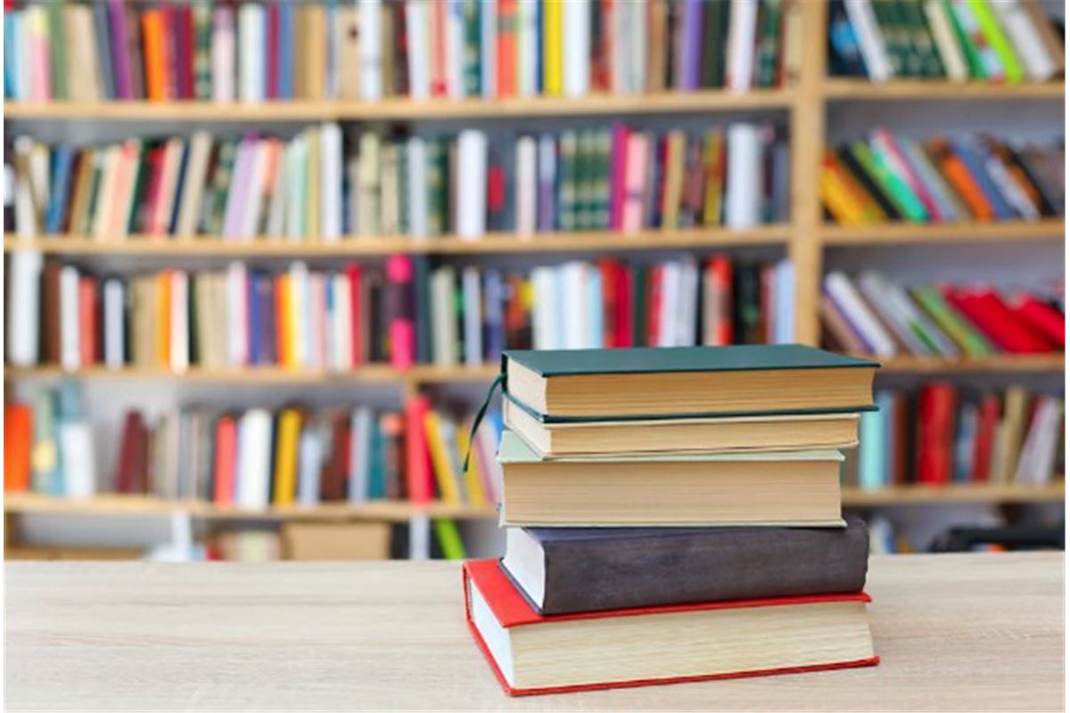 De Maria Pourchet à David Diop : les livres de la rentrée littéraire à rattraper de toute urgence