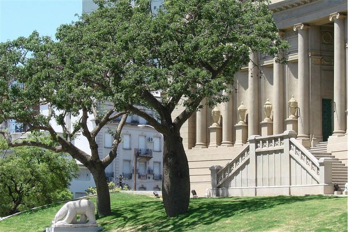 La Minute Positive #10 : En Argentine, un musée ouvre ses portes aux visiteurs aveugles