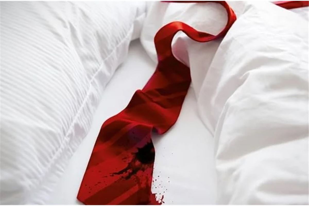 Le boyfriend : que vaut le nouveau thriller de Freida McFadden ?