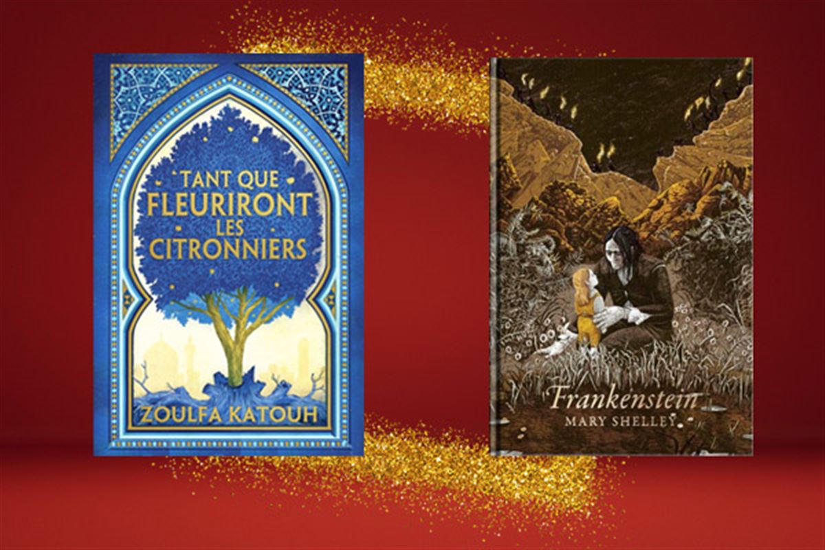 Des livres à offrir pour Noël : notre sélection pour les ados