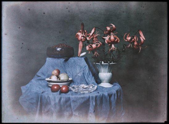 Photo Fabrice Laroche Agfa