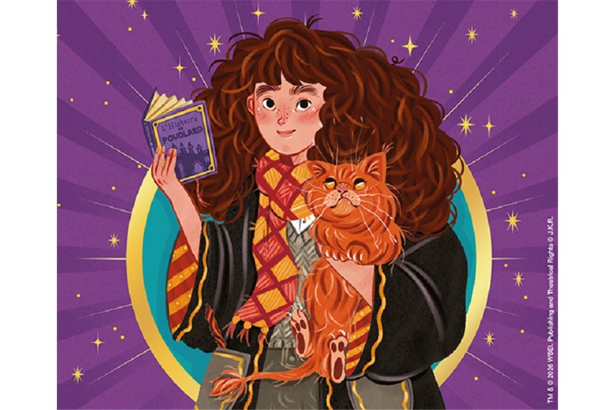 Rendez-vous le samedi 7 février 2026 à la Fnac bercy  à partir de 15h pour "La nuit Harry Potter"