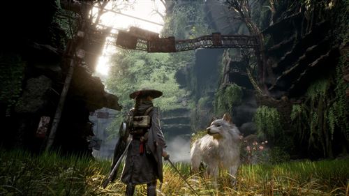 BeastofReincarnation-explo