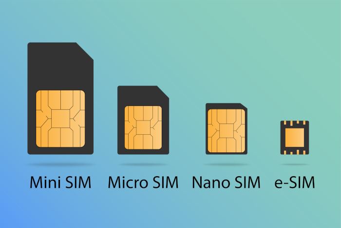 Diff&eacute;rentes cartes SIM