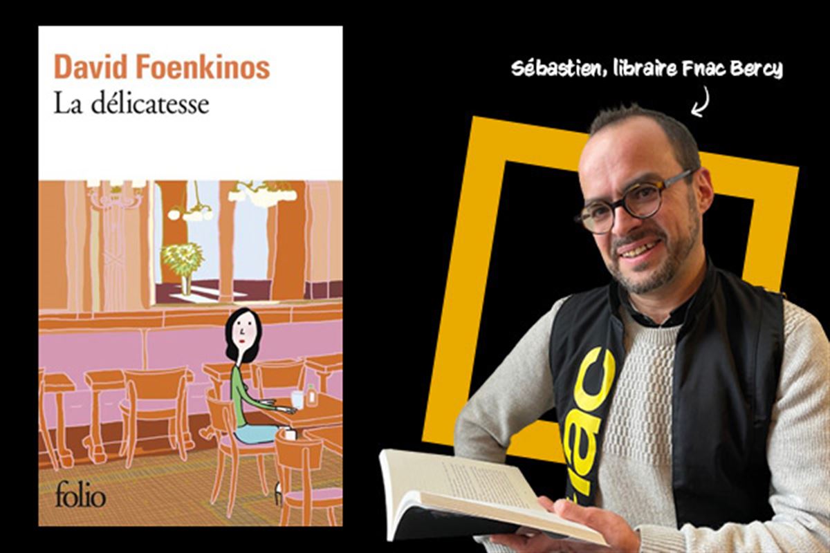 Les meilleurs romans de David Foenkinos