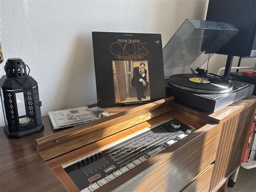 Axel-platine