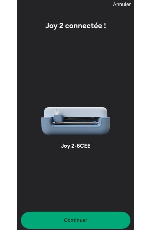 Test Cricut