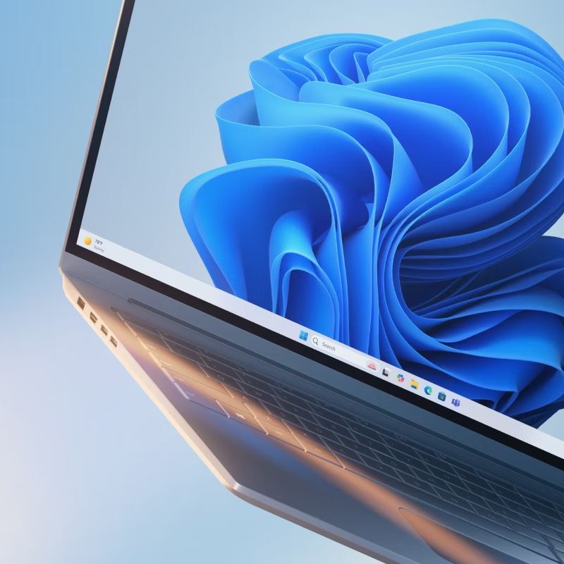 Windows 11 illustration