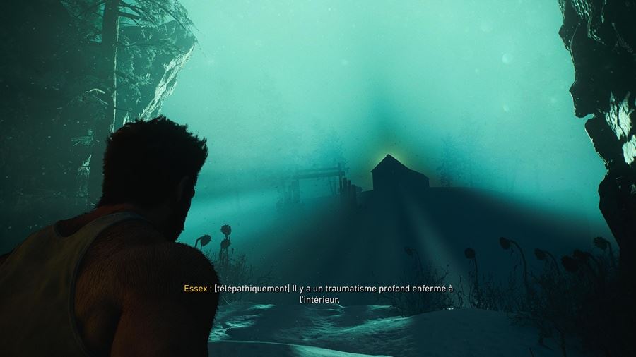 TestWolverine-image5