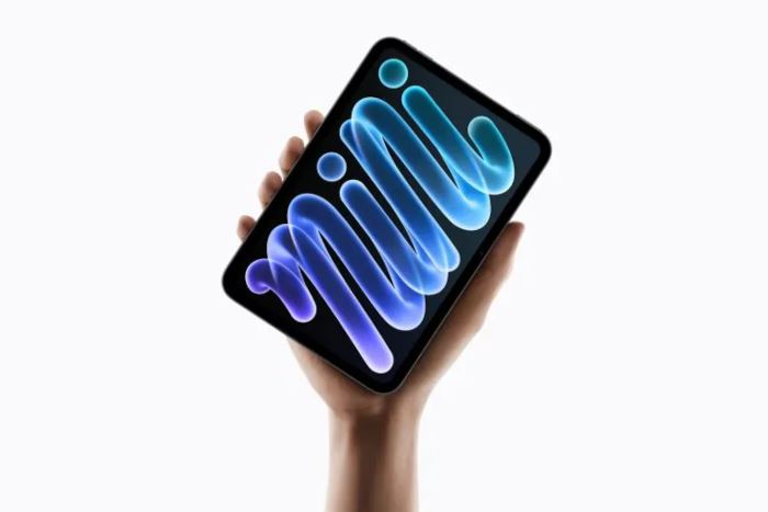 iPad Mini 3