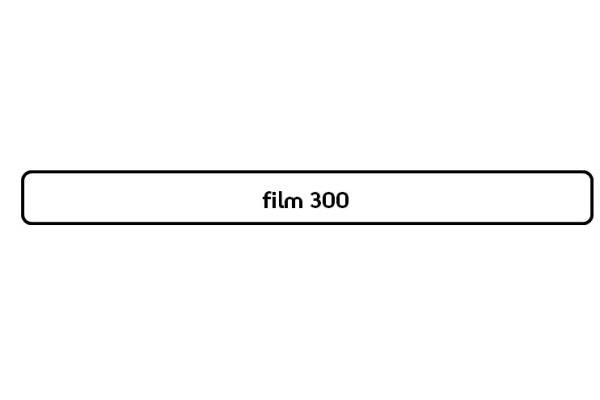 POLAROID FILM 300