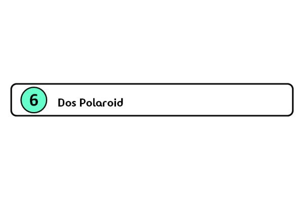 b-6 dos polaroid