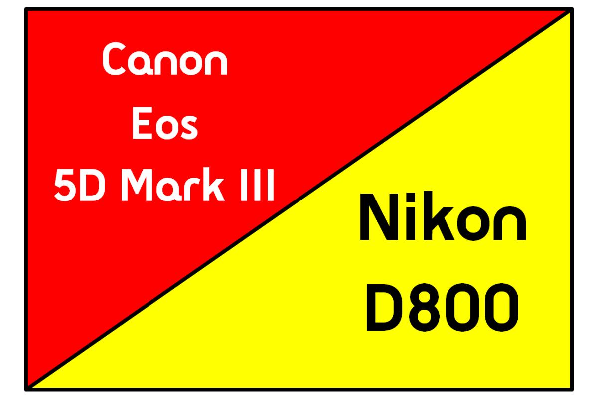 Canon Eos 5D Mark III / Nikon D800 : le choc des titans