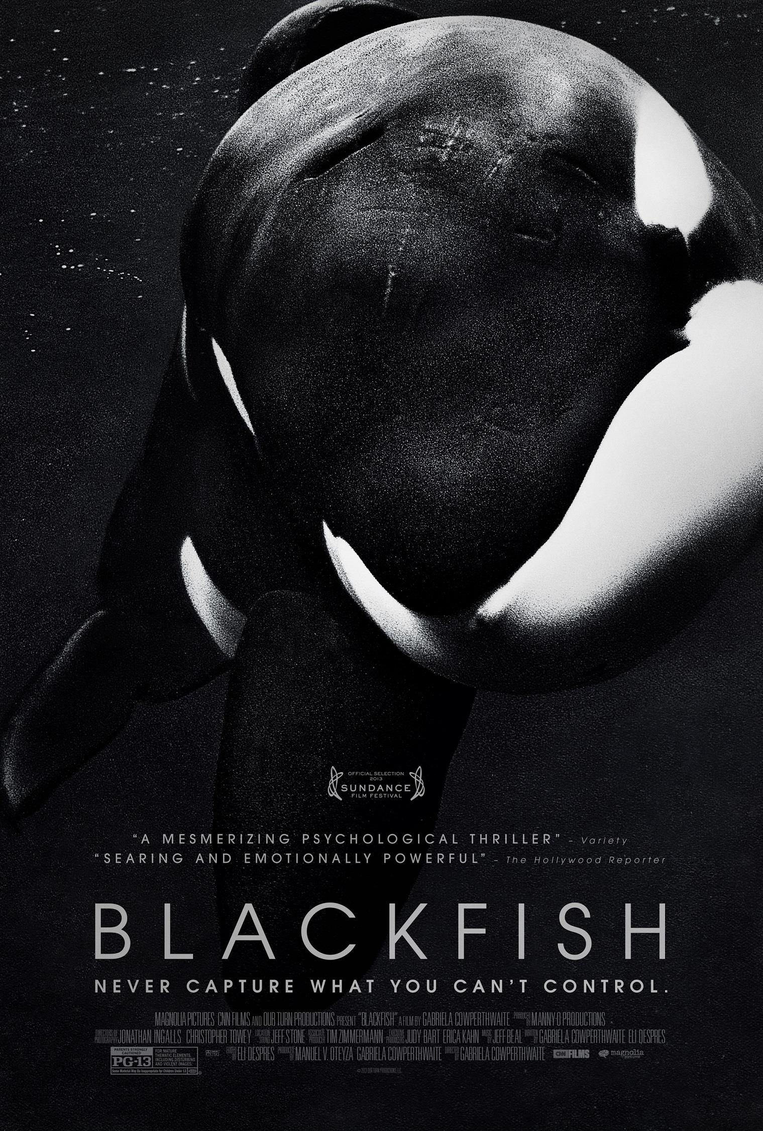 Blackfish: la triste vie de Tilikum
