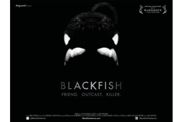 blackfish 1