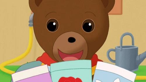124-livre-jeunesse-petit-ours-brun