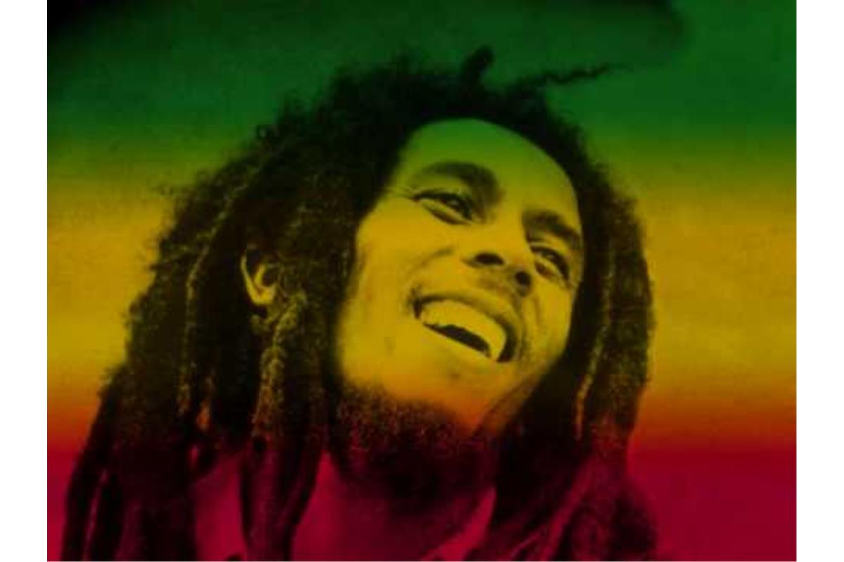 Bob Marley & The Wailers : la totale en vinyle !