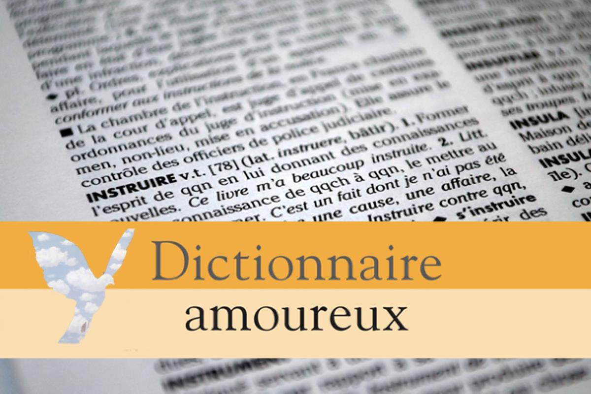 Le Dictionnaire amoureux : une collection surprenante !