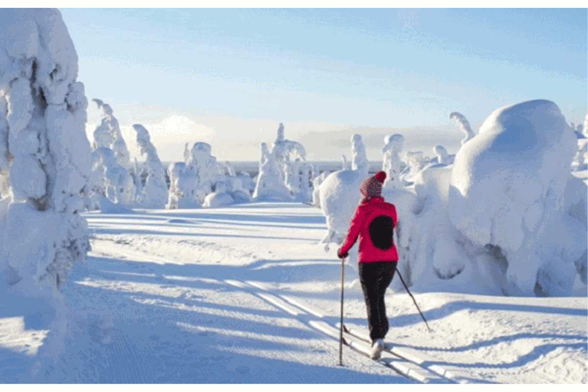 Ski nordique : le jogging dans la neige, c'est possible !