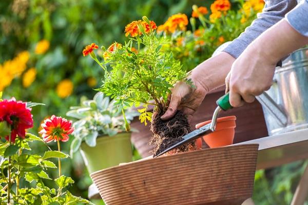 Rangement du jardin : 5 astuces pour un extérieur soigné – Jardiner Malin