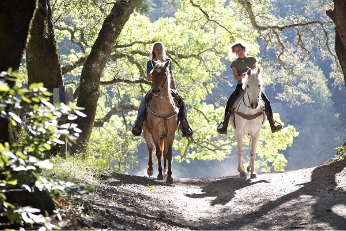 L’équitation : plus qu’un loisir, une discipline passionnante