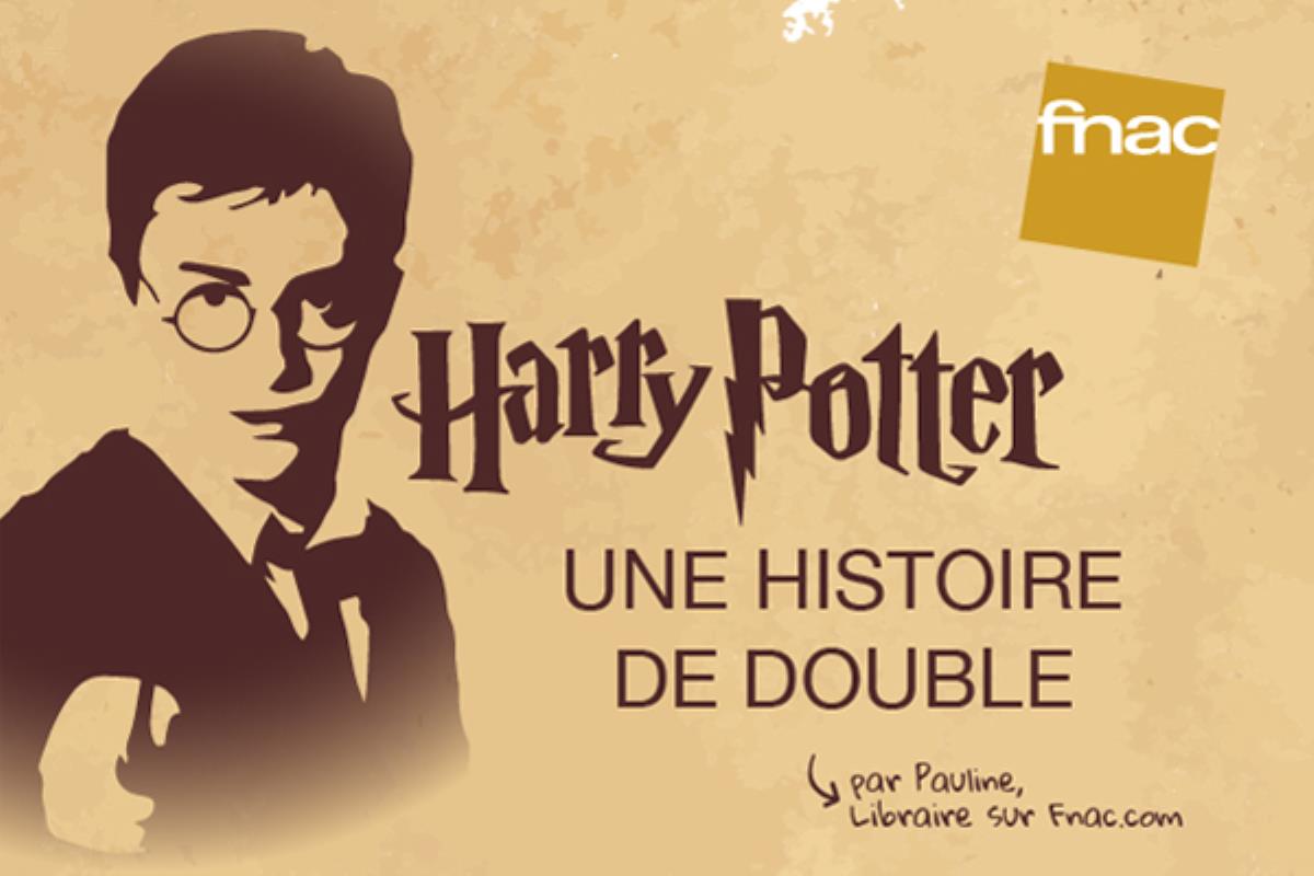 Infographie Harry Potter : une histoire de double