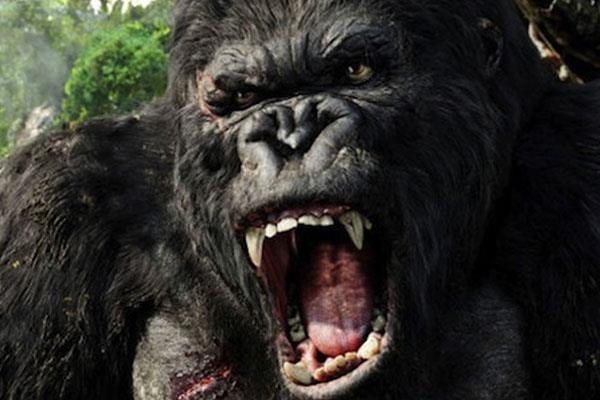 King Kong Skull Island Histoire King Kong Skull Island Histoire