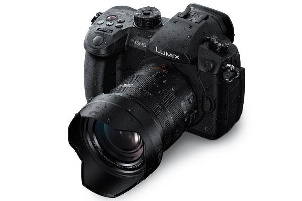 Panasonic Leica 12-60