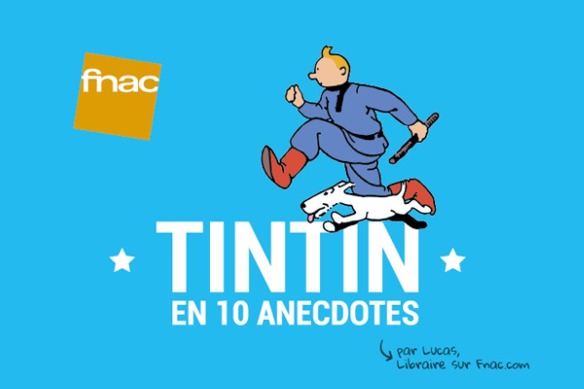 Infographie : Tintin en 10 anecdotes
