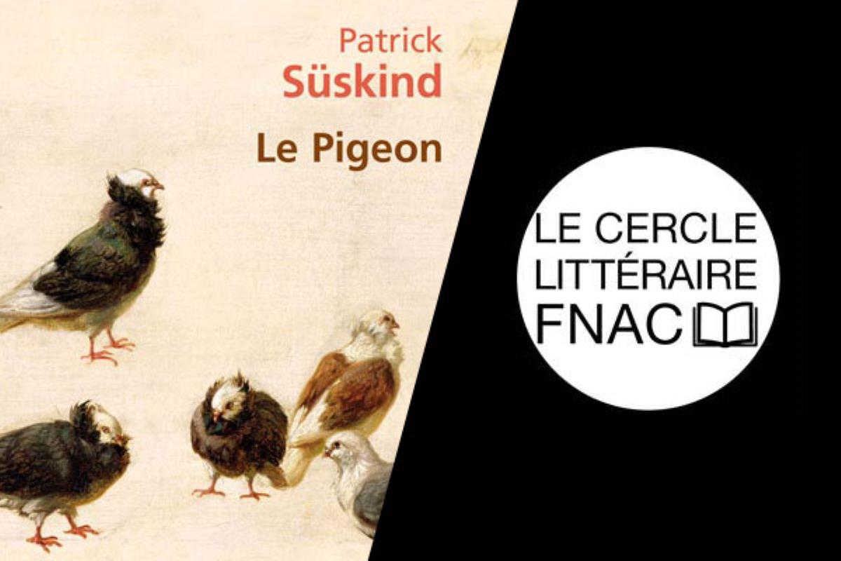 Le Pigeon de Patrick Süskind : une histoire d'intrusion