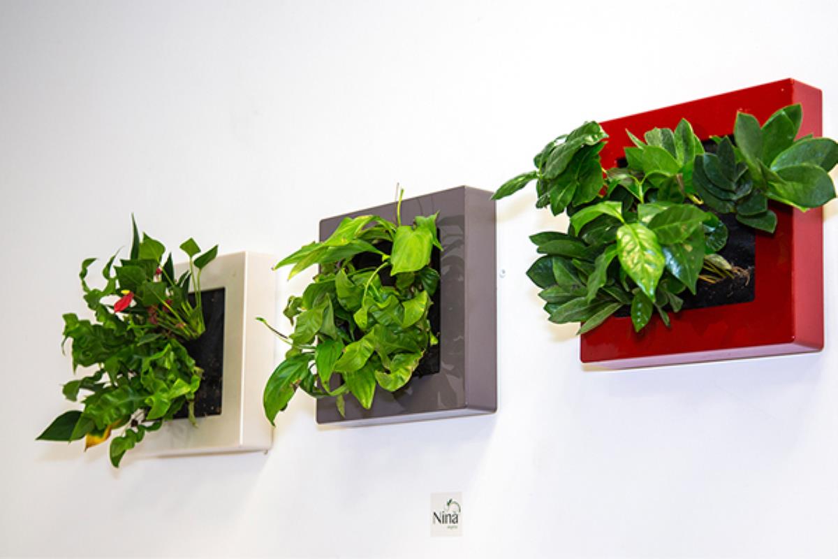 Jardin vertical : Nina végétal invite la nature dans votre salon