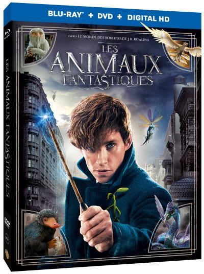 Les-Animaux-fantastiques-Combo-Blu-ray-DVD