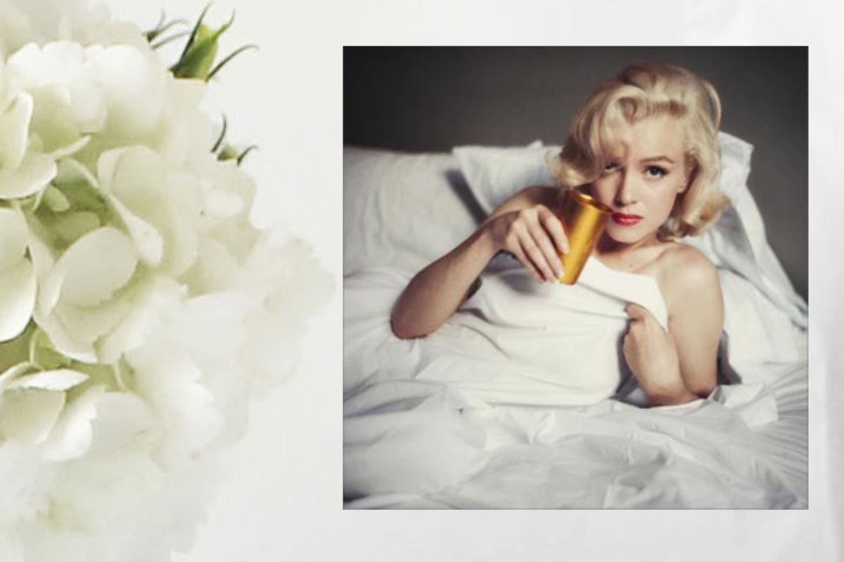 La fièvre Marilyn : un beau livre de photos
