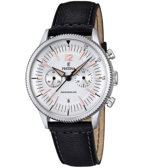 Festina Homme watch F16870-1