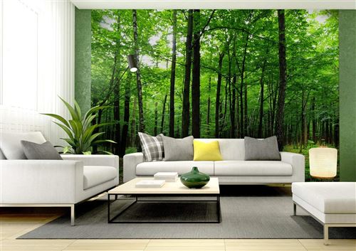 AG Design – Papiers Peints intissé – Forêt – Tapisserie Photo – Poster Photo géant – 360x270 cm – 4 lés – FTNS 2446