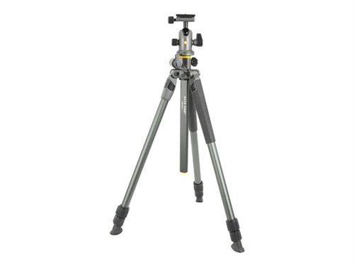 Vanguard Alta Pro 2+ 263AB100 - Statief - met Vanguard Alta BH 100