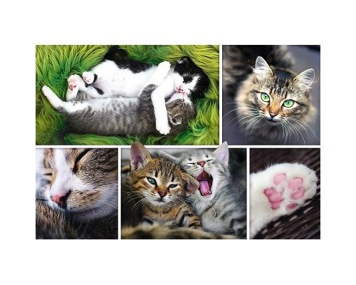 Puzzle 1500 Pièces : Collage - Chats, Trefl