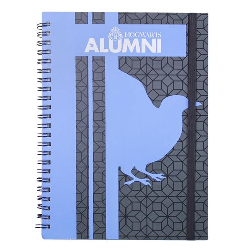 Harry Potter Carnet de notes à spirales format A5 Ravenclaw bleu et noir (21x14.8x2cm)