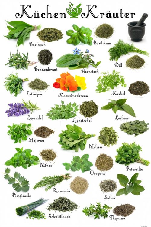 Cuisine Papier Peint Photo/Poster Autocollant - Herbes Aromatiques (180x120 cm)