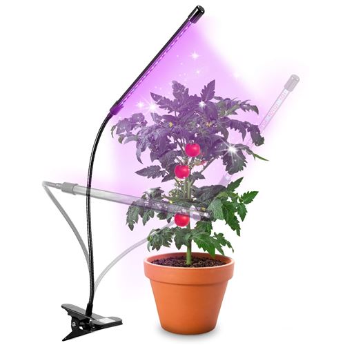 lampe de croissance annulaire LED à spectre complet lampe de bureau pour plantes succulentes Rylod Lampes de croissance pour plantes dintérieur alimentation USB 