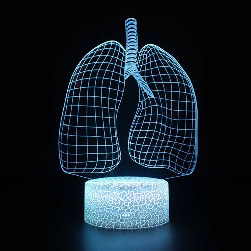 Lampe 3D Tactile Veilleuses Enfant 7 Couleurs avec Telecommande - Organes #326