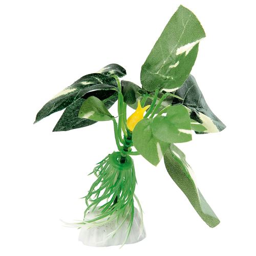 Meilleurs prix pour Décoration aquariums Ferplast BLU 9089 - ANUBIAS fausse plante en plastique de petite taille